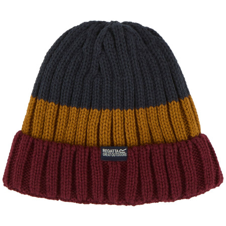 Zimní čepice Regatta Davion Hat V