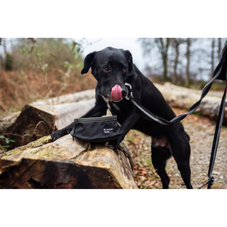 Miska pro psa Mountain Paws Collapsible Dog Food Bowl