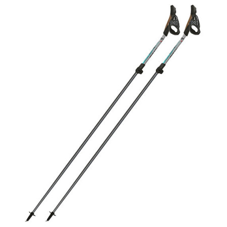 Nordic walking hole Fizan NW Carbon Pro Impulse