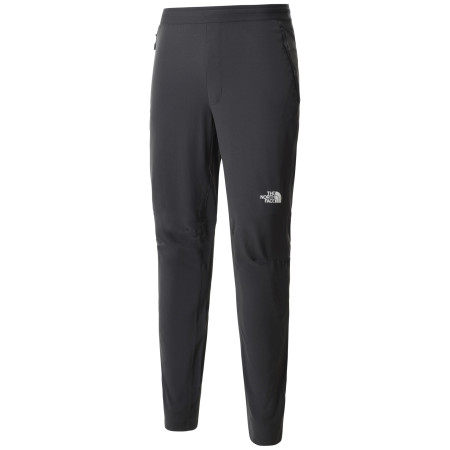 Pánské kalhoty The North Face Ao Woven Pant -Eu