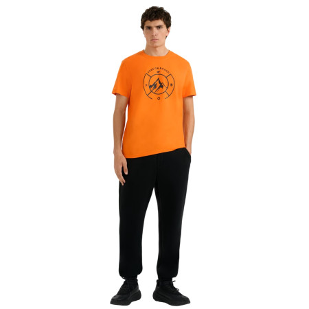 Pánské triko 4F Tshirt M3138