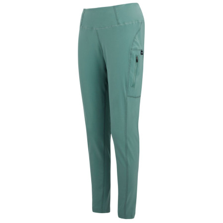 Dámské legíny Regatta Monira Hiking Legging