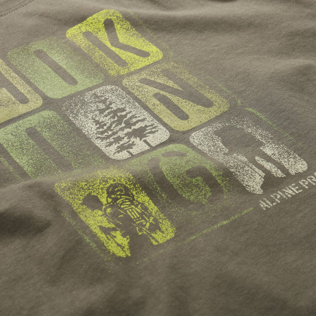 Pánské triko Alpine Pro Bolen 2