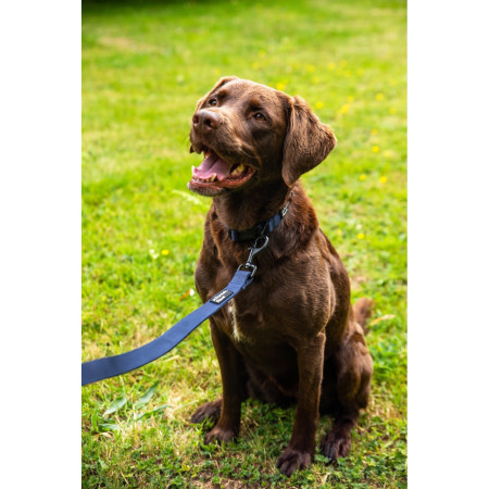 Vodítko na psa Mountain Paws Extra Tough Dog Lead