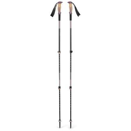 Trekové hole Black Diamond Trail Vista Shock