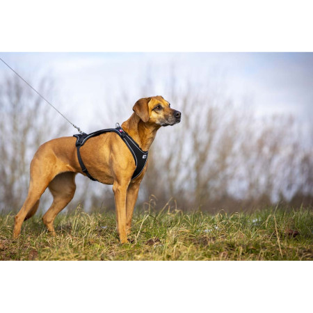 Vodítko na psa Curli Ultra Strong Pocket Leash