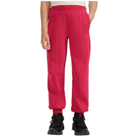 Dětské tepláky 4F Trousers Cas F1242