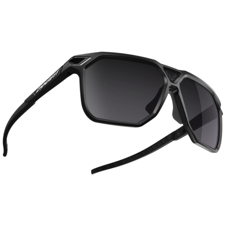 Sluneční brýle Dynafit Traverse Sunglasses