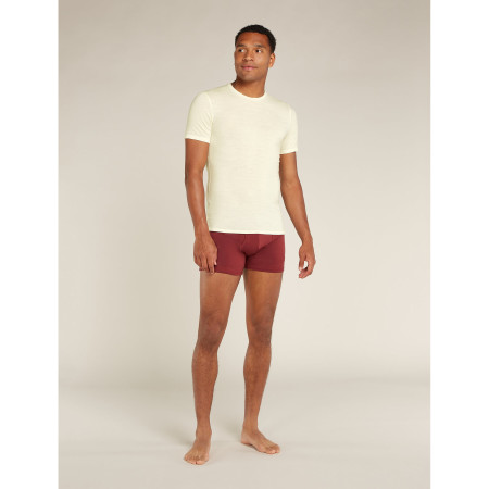 Pánské triko Icebreaker M Anatomica SS Crewe