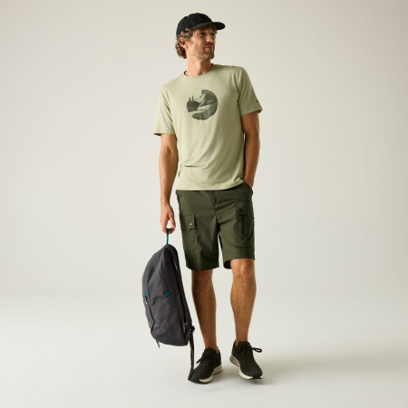 Pánské kraťasy Regatta Arlery Shorts