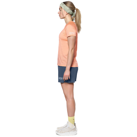 Dámské triko Devold Endurance Merino 130 Tee Wmn