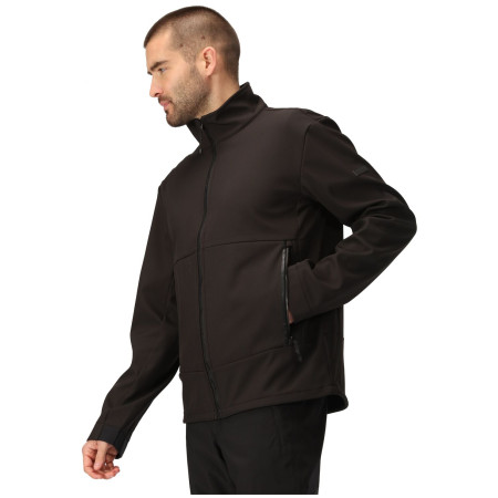 Pánská mikina Regatta Dendrick