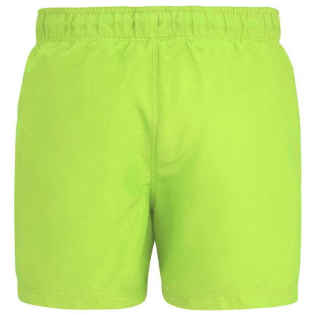 Pánské plavky Regatta Mawson Swim Shorts III