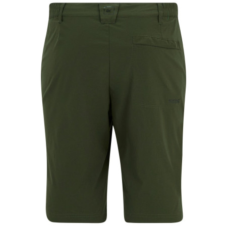 Pánské kraťasy Regatta Highton Shorts Long II