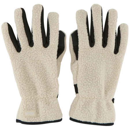 Rukavice Regatta Borg Gloves