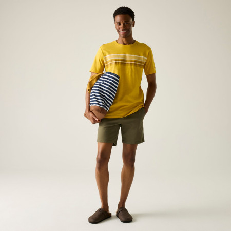 Pánské triko Regatta Rendro