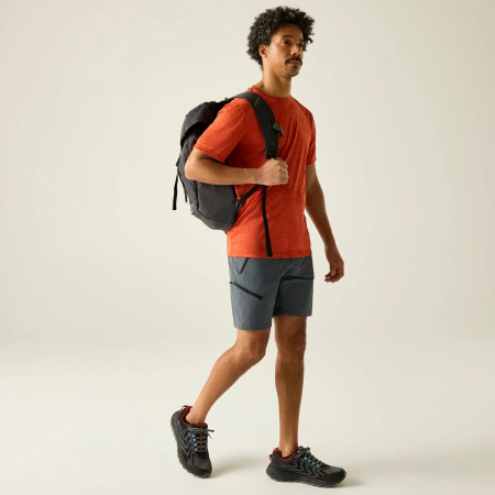 Pánské kraťasy Regatta Xert Stretch Shorts