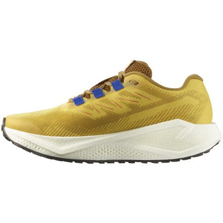 Pánské běžecké boty Salomon Aero Blaze 3 Grvl