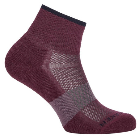 Dámské ponožky Icebreaker Women Multisport Light Mini