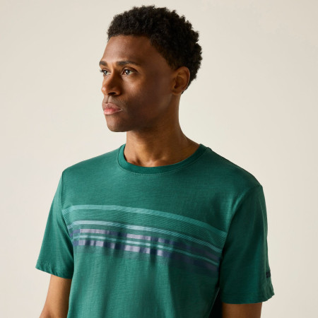 Pánské triko Regatta Rendro