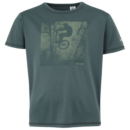 Dětské triko Regatta Alvarado IX