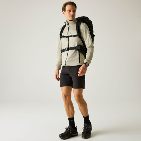 Pánská mikina Regatta Hillden Midlayer