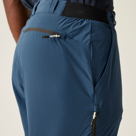 Pánské kraťasy Regatta Travel Light Packaway Shorts