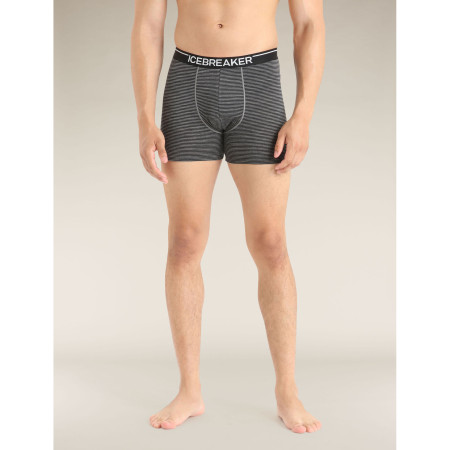 Pánské boxerky Icebreaker Mens Anatomica Boxers