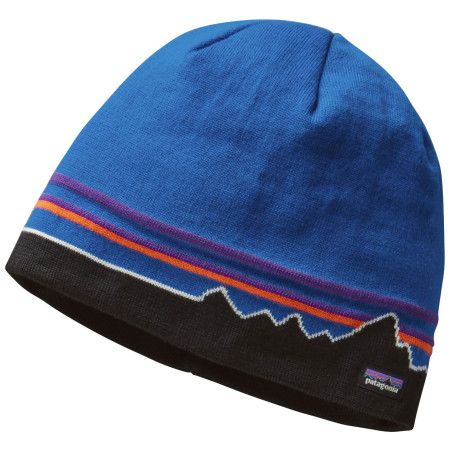 Zimní čepice Patagonia Beanie Hat