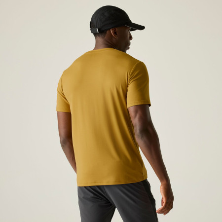 Pánské triko Regatta Fingal Stretch