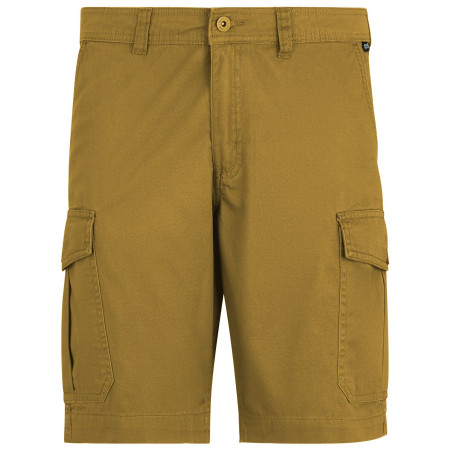 Pánské kraťasy Regatta Ruwan Shorts