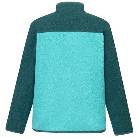 Dětská funkční mikina Regatta Junior Frankie Warm Fleece Mediterranea/Turquoise