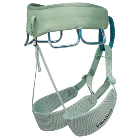 Dámský úvazek Black Diamond M Momentum Harness
