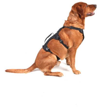 Postroj pro psa Mountain Paws 3-Strap Dog Harness