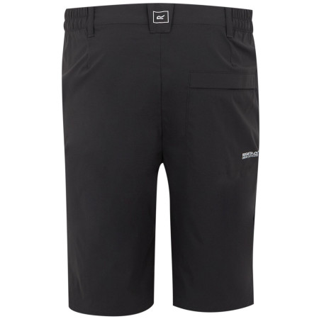 Pánské kraťasy Regatta Highton Shorts Long II