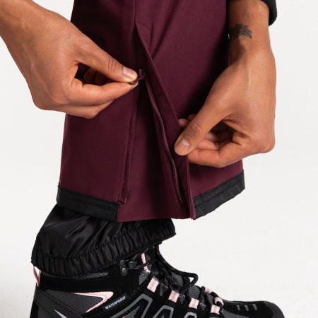 Dámské lyžařské kalhoty Dare 2b Diminish Pant