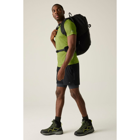 Pánské triko Regatta Fingal Edition