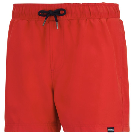 Pánské plavky Regatta Mawson Swim Shorts III