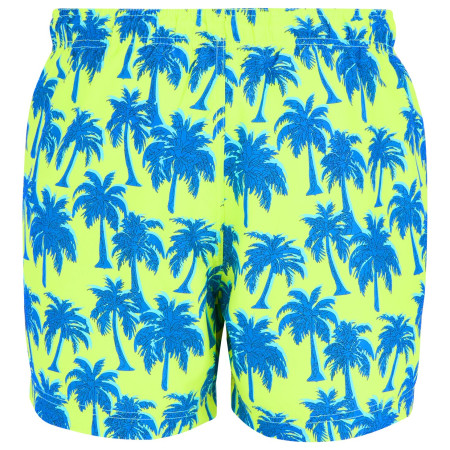 Pánské plavky Regatta Loras Swim Short