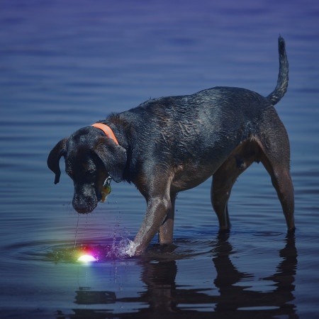 Hračka pro psa Nite Ize Glowstreak LED Ball