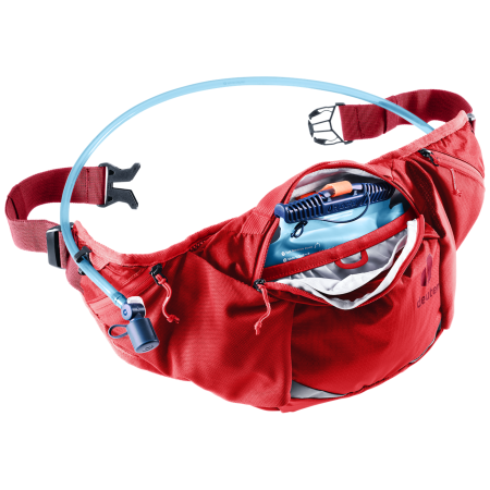 Ledvinka Deuter Pulse 3