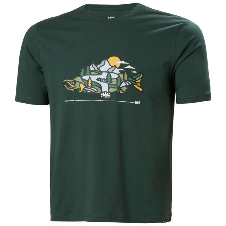 Pánské tričko Helly Hansen F2F Organic Cotton Tee 2.0