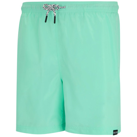 Pánské kraťasy Regatta Mackleyna Swim Short