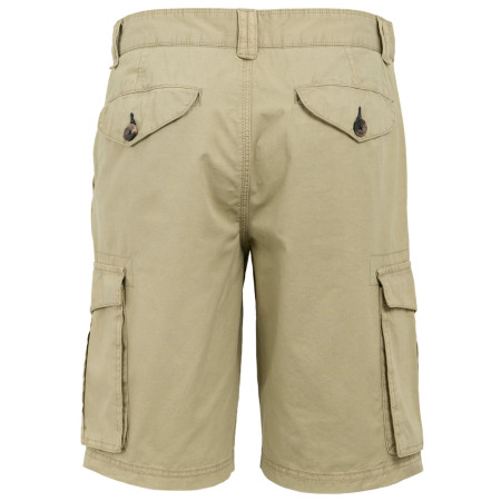 Pánské kraťasy Regatta Shorebay Shorts II