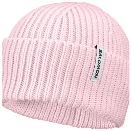 Čepice Salomon Snowbird Beanie U