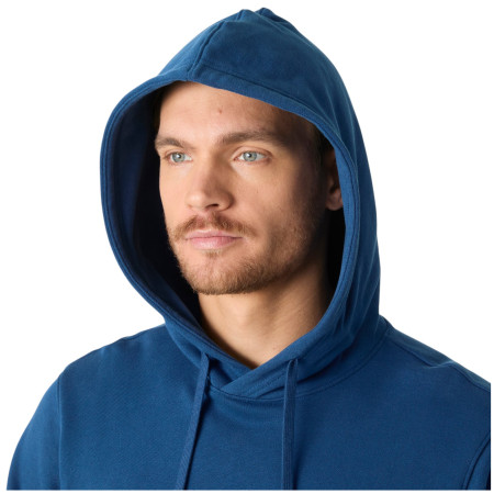 Pánská mikina Helly Hansen HH Logo Hoodie