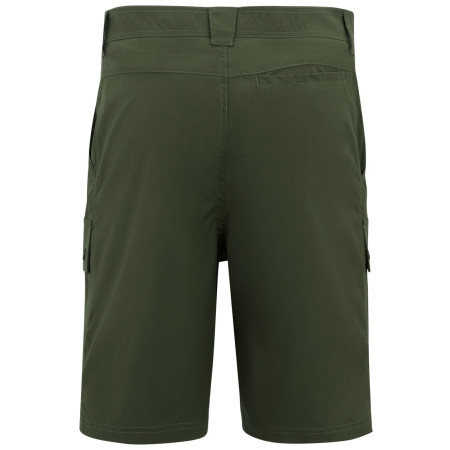 Pánské kraťasy Regatta Arlery Shorts