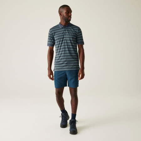 Pánské triko Regatta Kildra