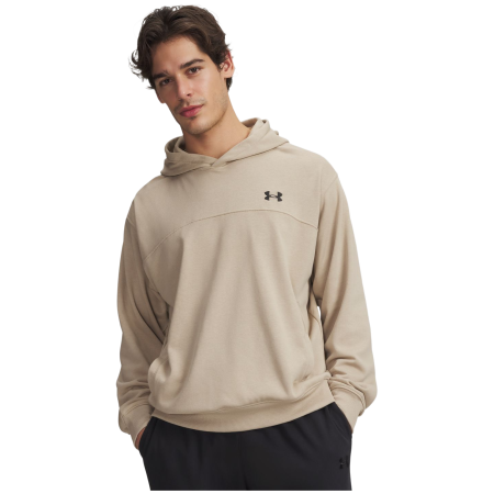 Pánská mikina Under Armour Rival LW Hoodie