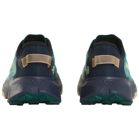 Pánské boty The North Face M Altamesa 300 V2